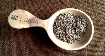 Fenchel, Samen, braun, ganz (100g)