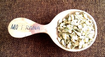 Jasmin, Blüten, ganz (50g)