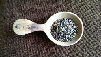 Mariendistel, Samen, ganz (100g)