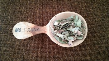 Myrthe, Blätter, ganz (100g)