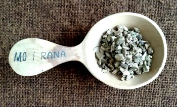 Rhabarber, Wurzel, geschnitten (100g)