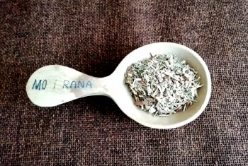 Erdungsräucherung (50g)