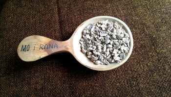 Kalmus, Wurzel, geschnitten (50g)