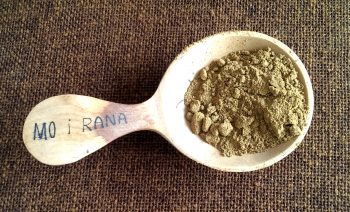 Sellerie, Samen, gemahlen (50g)