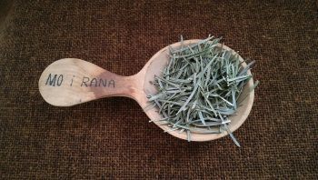 Tanne, Nadeln, ganz (50g)