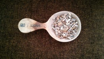 Ulme, Rinde, geschnitten (50g)