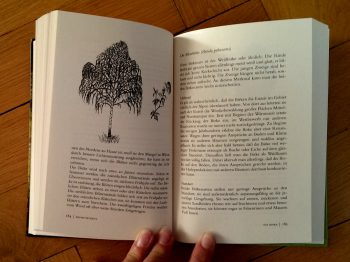 Haerkötter "Das Geheimnis der Bäume" – Bild 2