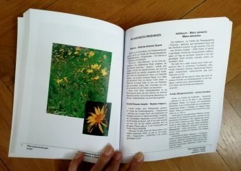 Fischer, Dorothea "Naturfarben auf Wolle und Seide - Färben ohne giftige Zusätze" – Bild 4