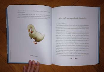 Luhn, Usch "Nils Holgerssons" – Bild 3