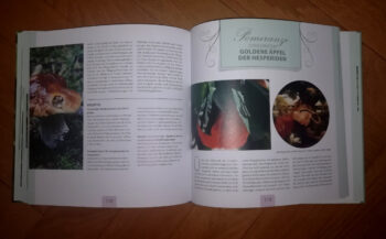 Ritter, Claudia "Schlafmohn, Engelwurz und Aphrodites Quitten" – Bild 4
