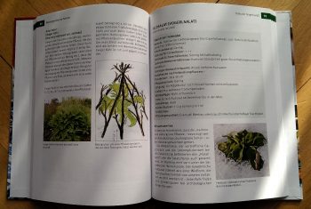 Haßkerl, Heide "Selbstversorgt durch die kalte Jahreszeit" – Bild 2
