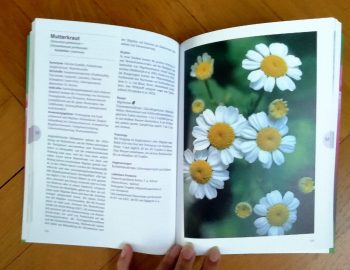 Madejsky, Margret "Praxishandbuch Frauenkräuter" – Bild 3