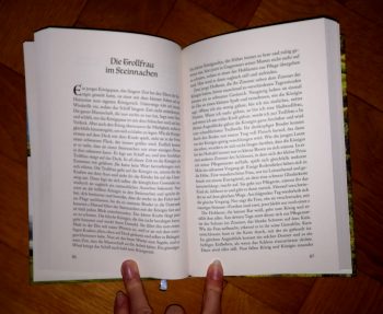 Schwarz, Alexander "Märchen aus Island" – Bild 3