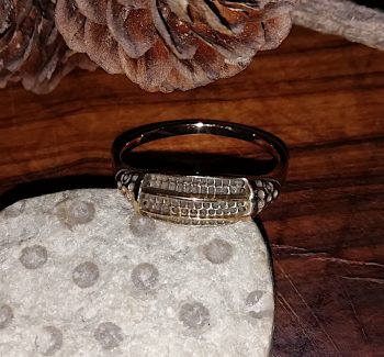 Wikingerring 7 Bronze klein
