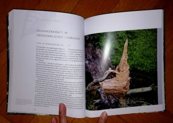 Hess, Sam "Die Welt der Naturgeister" – Bild 3