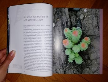 Hess, Sam "Die Welt der Naturgeister" – Bild 2