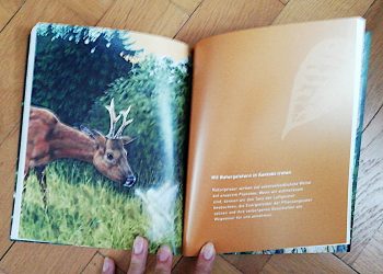 Hess, Sam "Die Welt der Naturgeister" – Bild 4