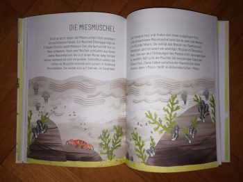 Lawson, Karoline "Schere Stein Papier" – Bild 4