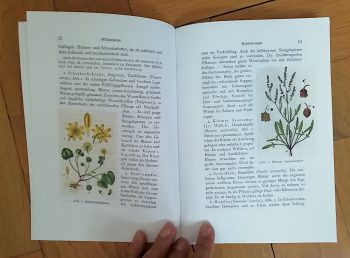 Gramberg, Eugen "Wildgemüse Wildfrüchte & Haustee" – Bild 2