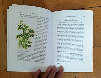 Gramberg, Eugen "Wildgemüse Wildfrüchte & Haustee" – Bild 4