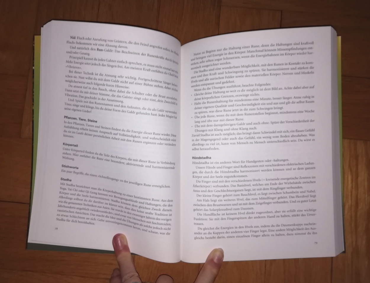 Steinfeldt "Das große Praxisbuch der Runen" – Bild 3