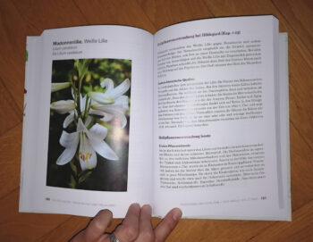 Ritter, Claudia "Hildegard von Bingen" – Bild 4
