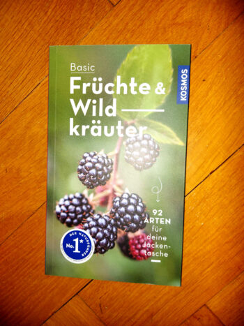 Dreyer "Basic: Früchte & Wildkräuter"
