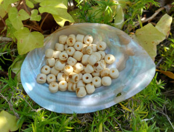 Knochen, Walzenperle, natur mit braunen Flecken