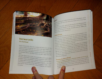 Peters, Volker "Kraftrituale in der Natur" – Bild 4