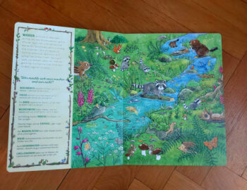 Wohlleben, Peter "Das große Waldwimmelbuch" – Bild 3