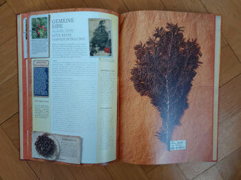 Bertrand "Das Herbarium der Heil- und Giftpflanzen" – Bild 4
