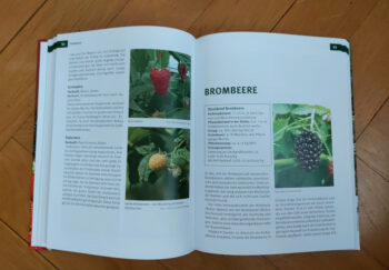 Diverse "Beerenobst" – Bild 3