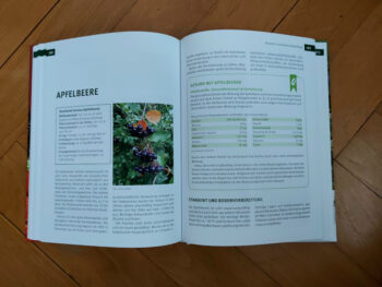 Diverse "Beerenobst" – Bild 5