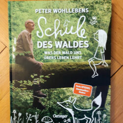 Wohlleben, Peter "Schule des Waldes"
