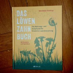 Frintrup "Das Löwenzahnbuch"