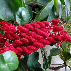 Schurwolle rot